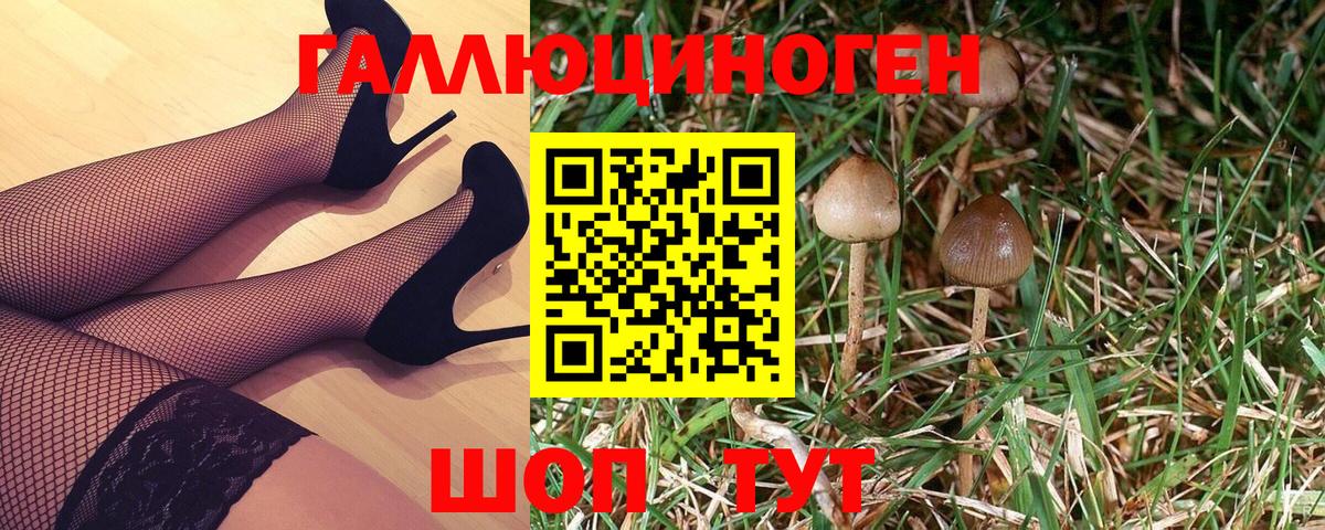 Псилоцибиновые грибы MAGIC MUSHROOMS Муром