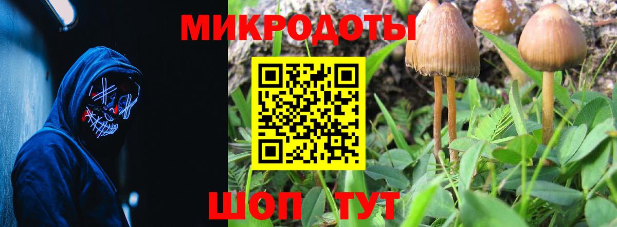 Псилоцибиновые грибы MAGIC MUSHROOMS  Вход с VPN  купить  сайты  Муром 